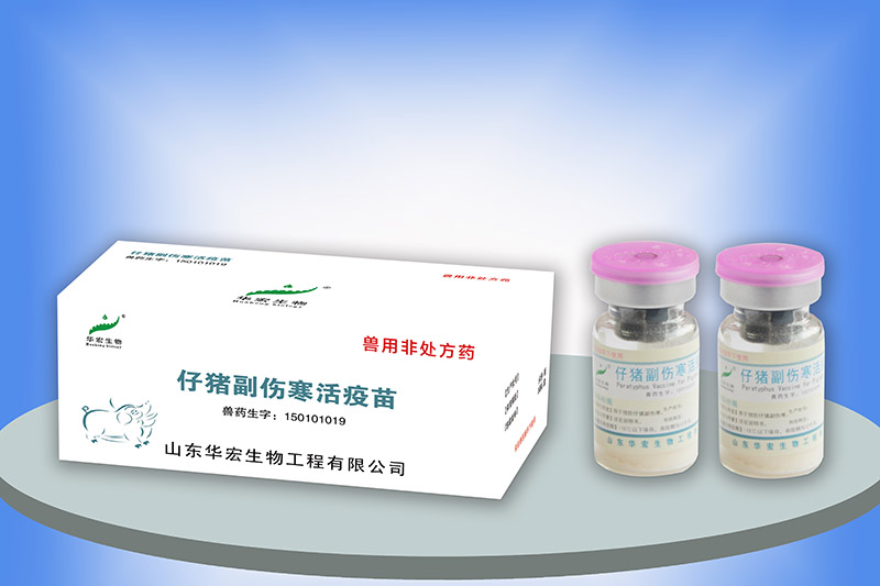 仔豬副傷寒活疫苗