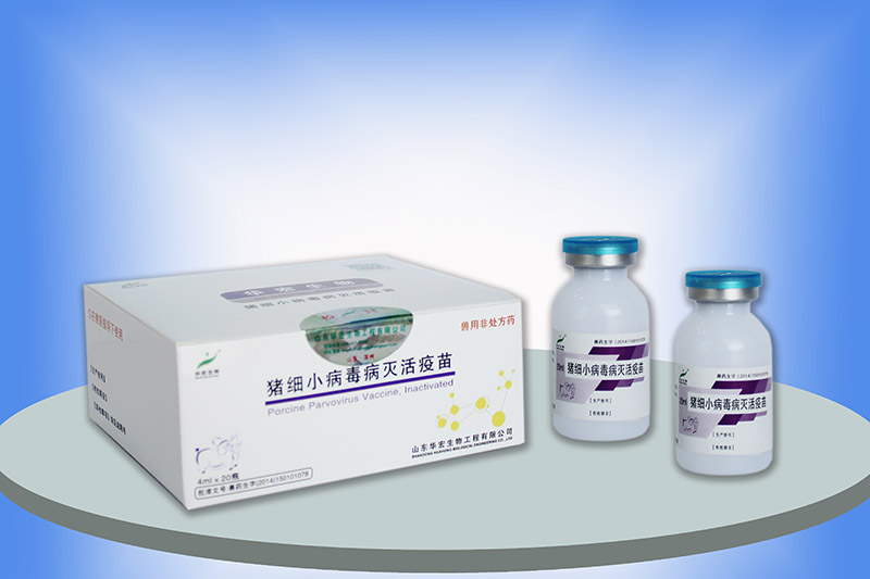 豬細(xì)小病毒病滅活疫苗(S-1株)