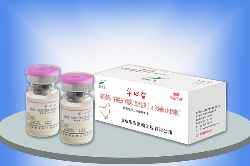 雞新城疫、傳染性支氣管炎二聯(lián)活疫苗（H120）