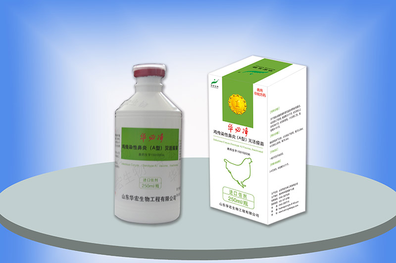雞傳染性鼻炎滅活疫苗(A型)