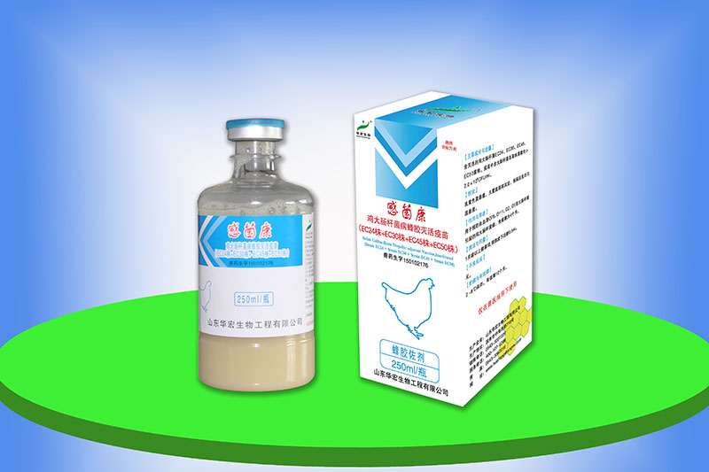 雞大腸桿菌病蜂膠滅活疫苗