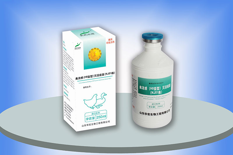 禽流感(H9亞型)滅活疫苗(NJ01株)