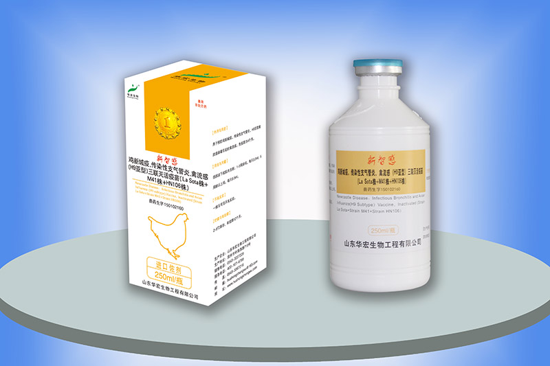 雞新城疫、傳染性支氣管炎、禽流感三聯(lián)滅活疫苗