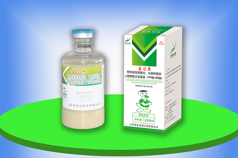 鴨傳染性漿膜炎、大腸桿菌病二聯(lián)蜂膠滅活疫苗（WF株+BZ株）